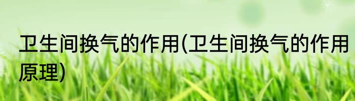 卫生间换气的作用(卫生间换气的作用原理)