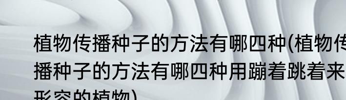 植物传播种子的方法有哪四种(植物传播种子的方法有哪四种用蹦着跳着来形容的植物)
