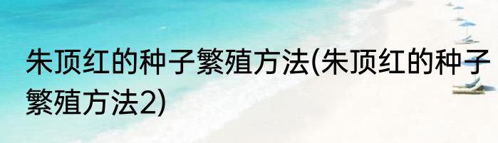 朱顶红的种子繁殖方法(朱顶红的种子繁殖方法2)