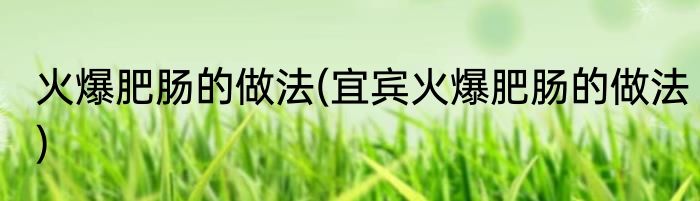 火爆肥肠的做法(宜宾火爆肥肠的做法)