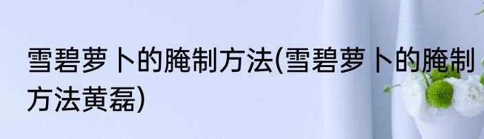 雪碧萝卜的腌制方法(雪碧萝卜的腌制方法黄磊)