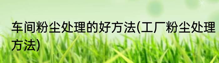 车间粉尘处理的好方法(工厂粉尘处理方法)