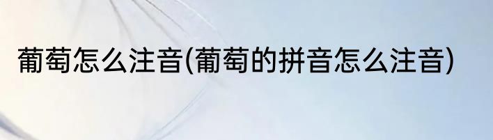 葡萄怎么注音(葡萄的拼音怎么注音)