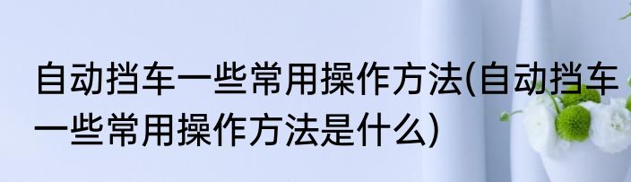 自动挡车一些常用操作方法(自动挡车一些常用操作方法是什么)
