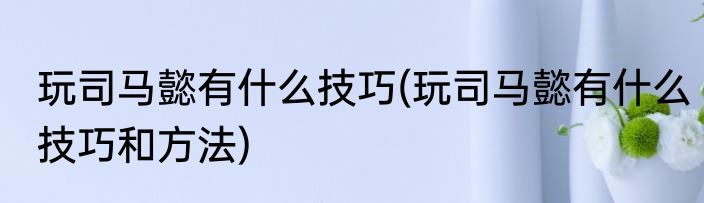 玩司马懿有什么技巧(玩司马懿有什么技巧和方法)