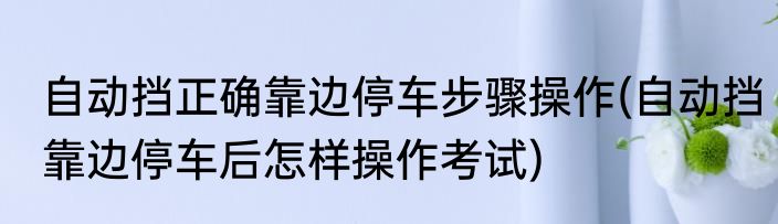 自动挡正确靠边停车步骤操作(自动挡靠边停车后怎样操作考试)
