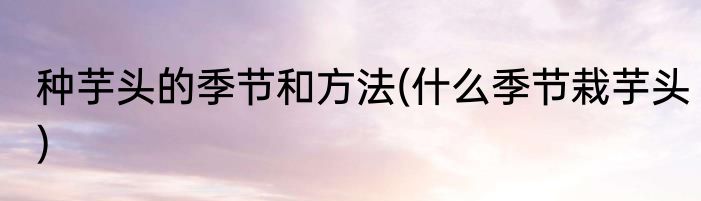 种芋头的季节和方法(什么季节栽芋头)