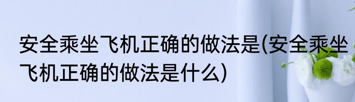 安全乘坐飞机正确的做法是(安全乘坐飞机正确的做法是什么)