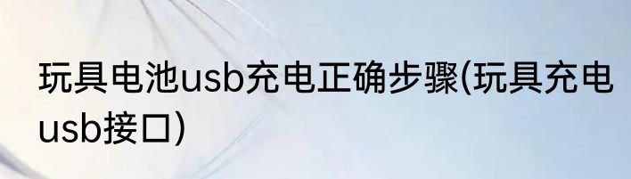 玩具电池usb充电正确步骤(玩具充电usb接口)