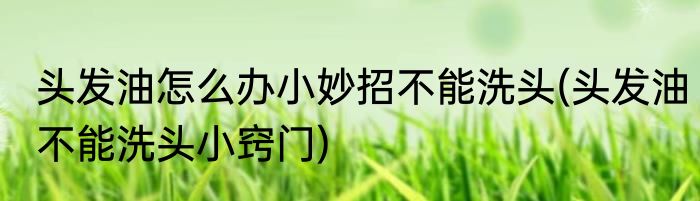 头发油怎么办小妙招不能洗头(头发油不能洗头小窍门)