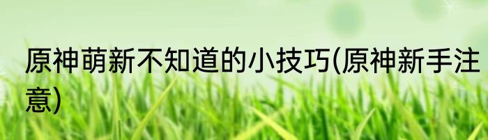 原神萌新不知道的小技巧(原神新手注意)