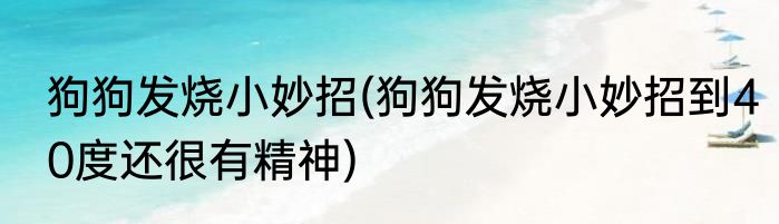 狗狗发烧小妙招(狗狗发烧小妙招到40度还很有精神)