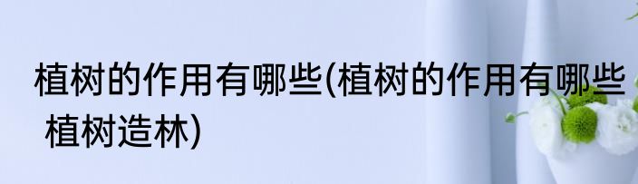 植树的作用有哪些(植树的作用有哪些 植树造林)