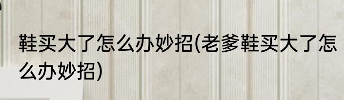 鞋买大了怎么办妙招(老爹鞋买大了怎么办妙招)