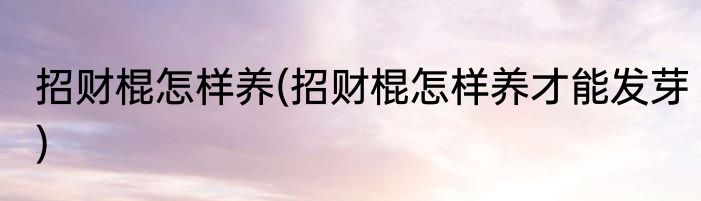 招财棍怎样养(招财棍怎样养才能发芽)