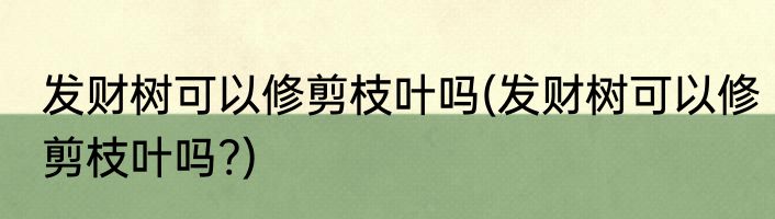 发财树可以修剪枝叶吗(发财树可以修剪枝叶吗?)