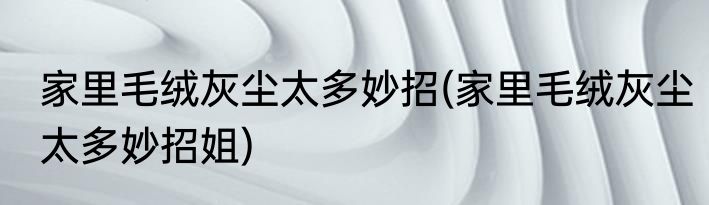 家里毛绒灰尘太多妙招(家里毛绒灰尘太多妙招姐)