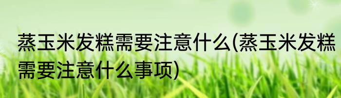 蒸玉米发糕需要注意什么(蒸玉米发糕需要注意什么事项)