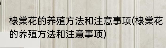 棣棠花的养殖方法和注意事项(棣棠花的养殖方法和注意事项)