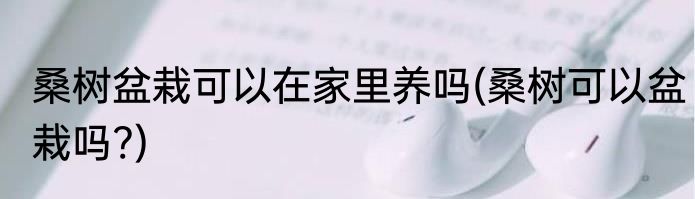 桑树盆栽可以在家里养吗(桑树可以盆栽吗?)