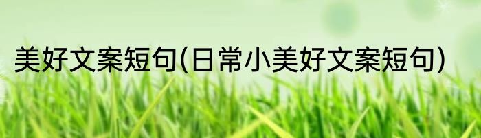 美好文案短句(日常小美好文案短句)