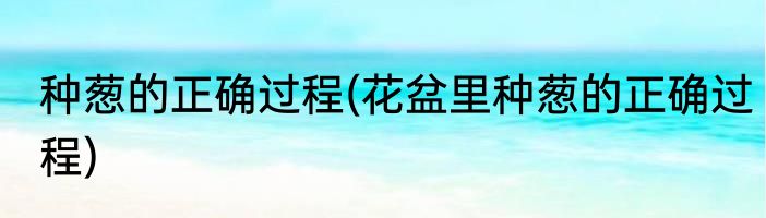 种葱的正确过程(花盆里种葱的正确过程)