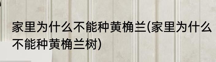 家里为什么不能种黄桷兰(家里为什么不能种黄桷兰树)