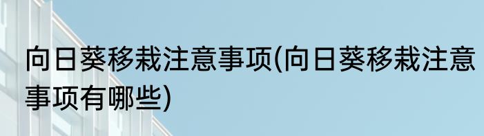 向日葵移栽注意事项(向日葵移栽注意事项有哪些)