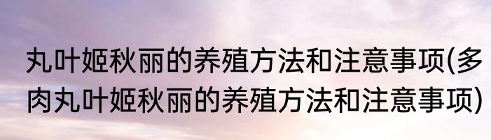 丸叶姬秋丽的养殖方法和注意事项(多肉丸叶姬秋丽的养殖方法和注意事项)