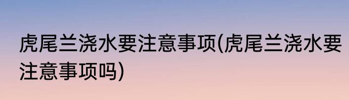 虎尾兰浇水要注意事项(虎尾兰浇水要注意事项吗)
