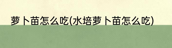 萝卜苗怎么吃(水培萝卜苗怎么吃)