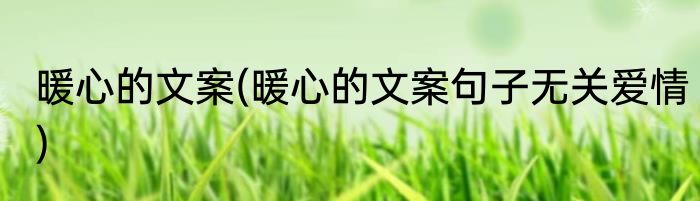 暖心的文案(暖心的文案句子无关爱情)