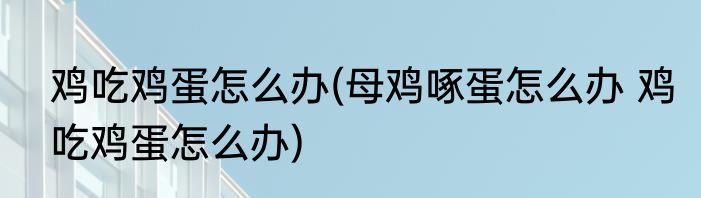 鸡吃鸡蛋怎么办(母鸡啄蛋怎么办 鸡吃鸡蛋怎么办)