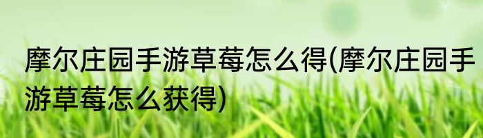 摩尔庄园手游草莓怎么得(摩尔庄园手游草莓怎么获得)