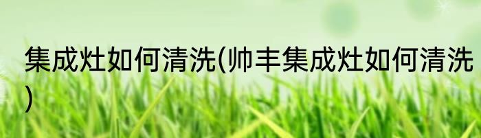 集成灶如何清洗(帅丰集成灶如何清洗)