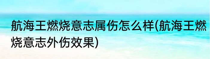 航海王燃烧意志属伤怎么样(航海王燃烧意志外伤效果)