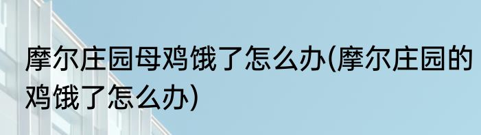 摩尔庄园母鸡饿了怎么办(摩尔庄园的鸡饿了怎么办)