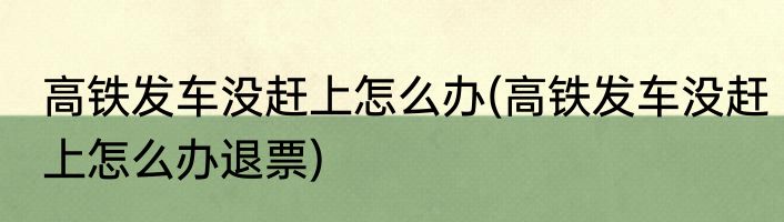 高铁发车没赶上怎么办(高铁发车没赶上怎么办退票)