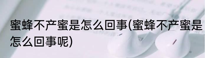 蜜蜂不产蜜是怎么回事(蜜蜂不产蜜是怎么回事呢)