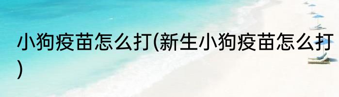 小狗疫苗怎么打(新生小狗疫苗怎么打)