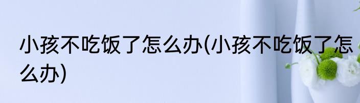 小孩不吃饭了怎么办(小孩不吃饭了怎么办)