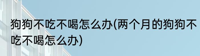 狗狗不吃不喝怎么办(两个月的狗狗不吃不喝怎么办)