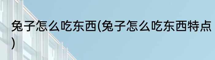 兔子怎么吃东西(兔子怎么吃东西特点)
