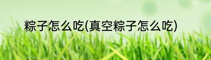 粽子怎么吃(真空粽子怎么吃)