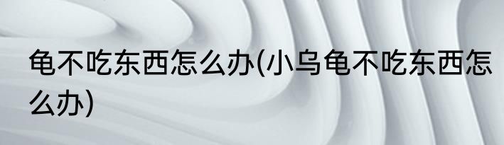 龟不吃东西怎么办(小乌龟不吃东西怎么办)