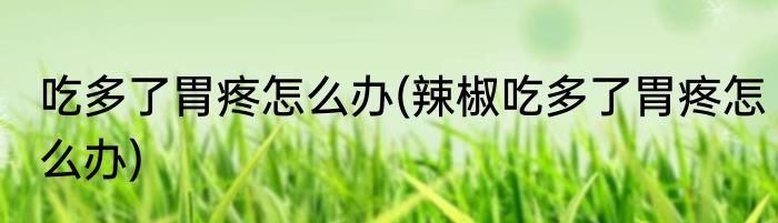 吃多了胃疼怎么办(辣椒吃多了胃疼怎么办)