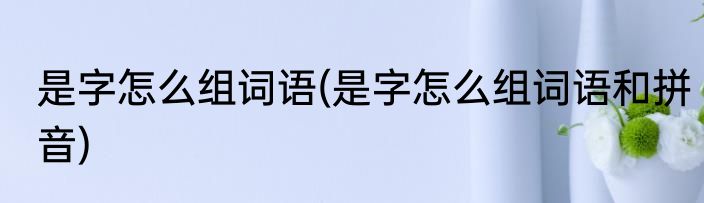 是字怎么组词语(是字怎么组词语和拼音)
