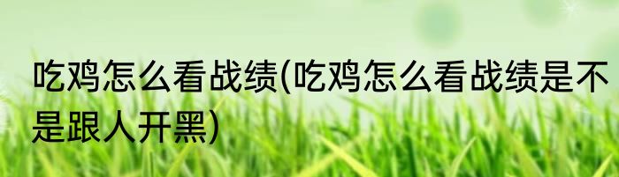 吃鸡怎么看战绩(吃鸡怎么看战绩是不是跟人开黑)