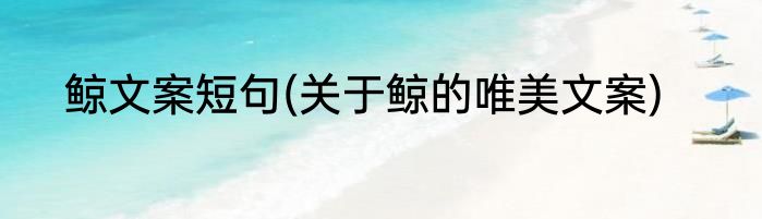 鲸文案短句(关于鲸的唯美文案)