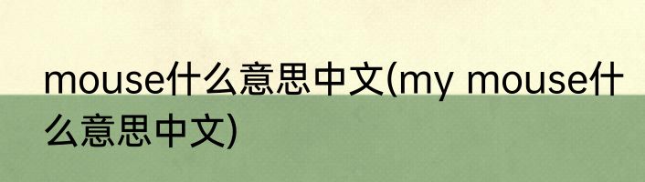 mouse什么意思中文(my mouse什么意思中文)